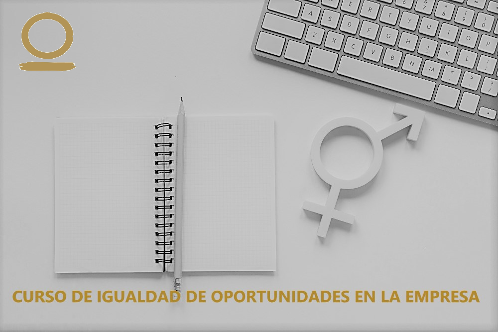 Con este curso aprenderás los conceptos relacionados con la igualdad de género y conocer la  normativa de igualdad.