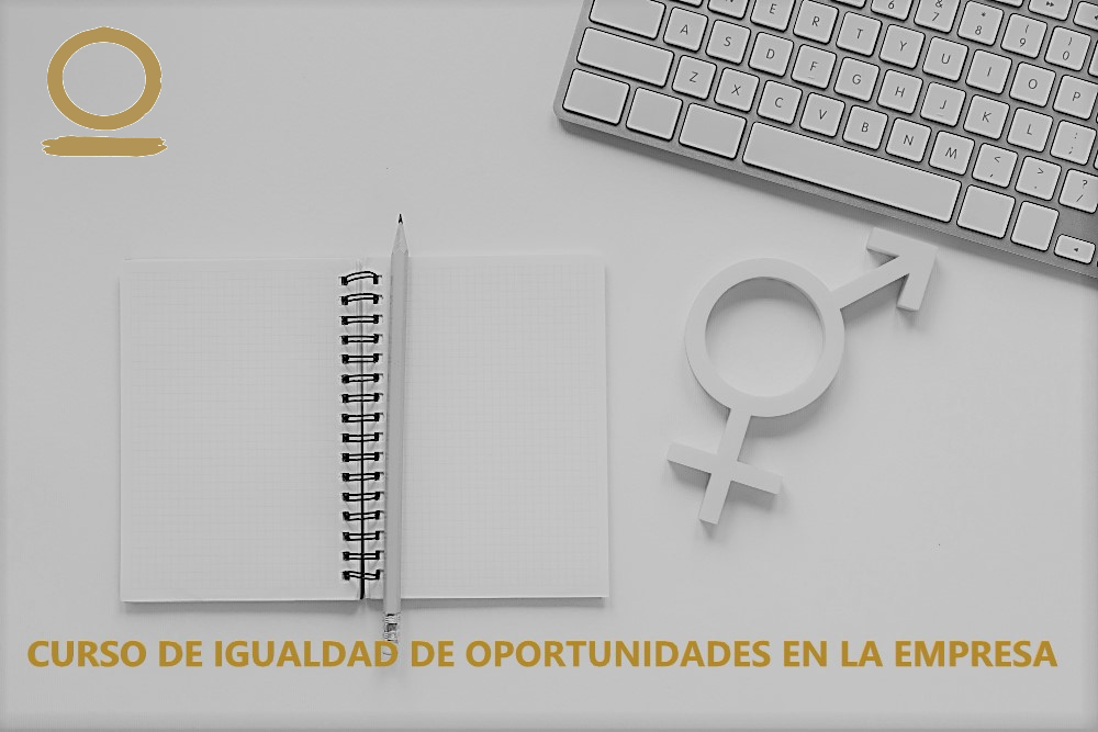 Con el curso de Igualdad de Oportunidades en la empresa conocerás la normativa de igualdad y conseguirás aplicarla en tu organización.